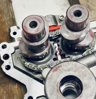 IMG_7881 Medium.jpeg