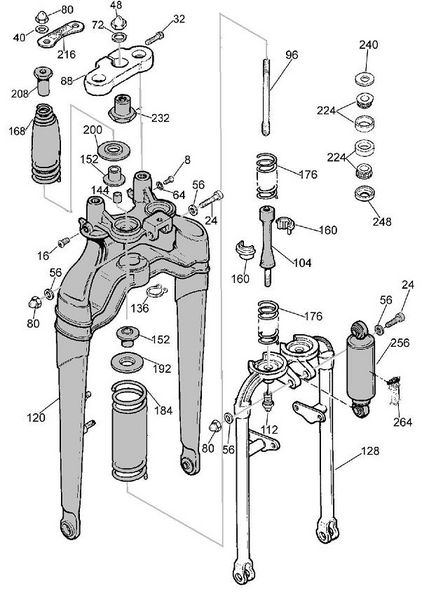 Tiedosto:Springer88 pieni.JPG