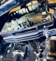 IMG_7586 Medium.jpeg