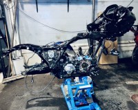 IMG_7690 Medium.jpeg