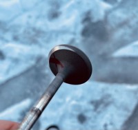 IMG_8090 Medium.jpeg